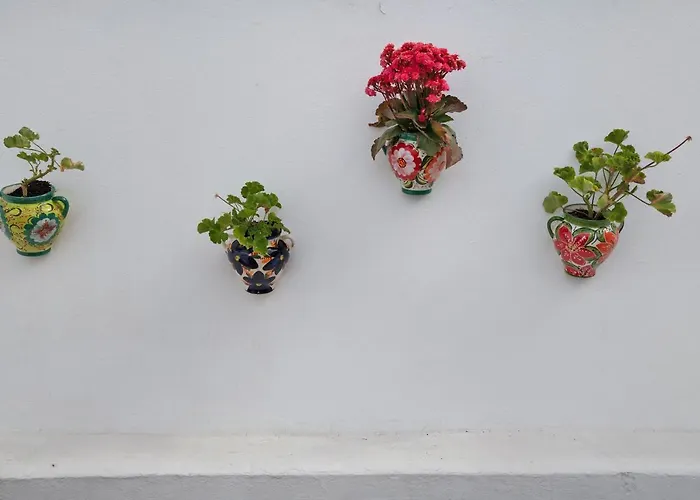 Pet friendly Casa Gofio Apartment Puerto del Carmen 